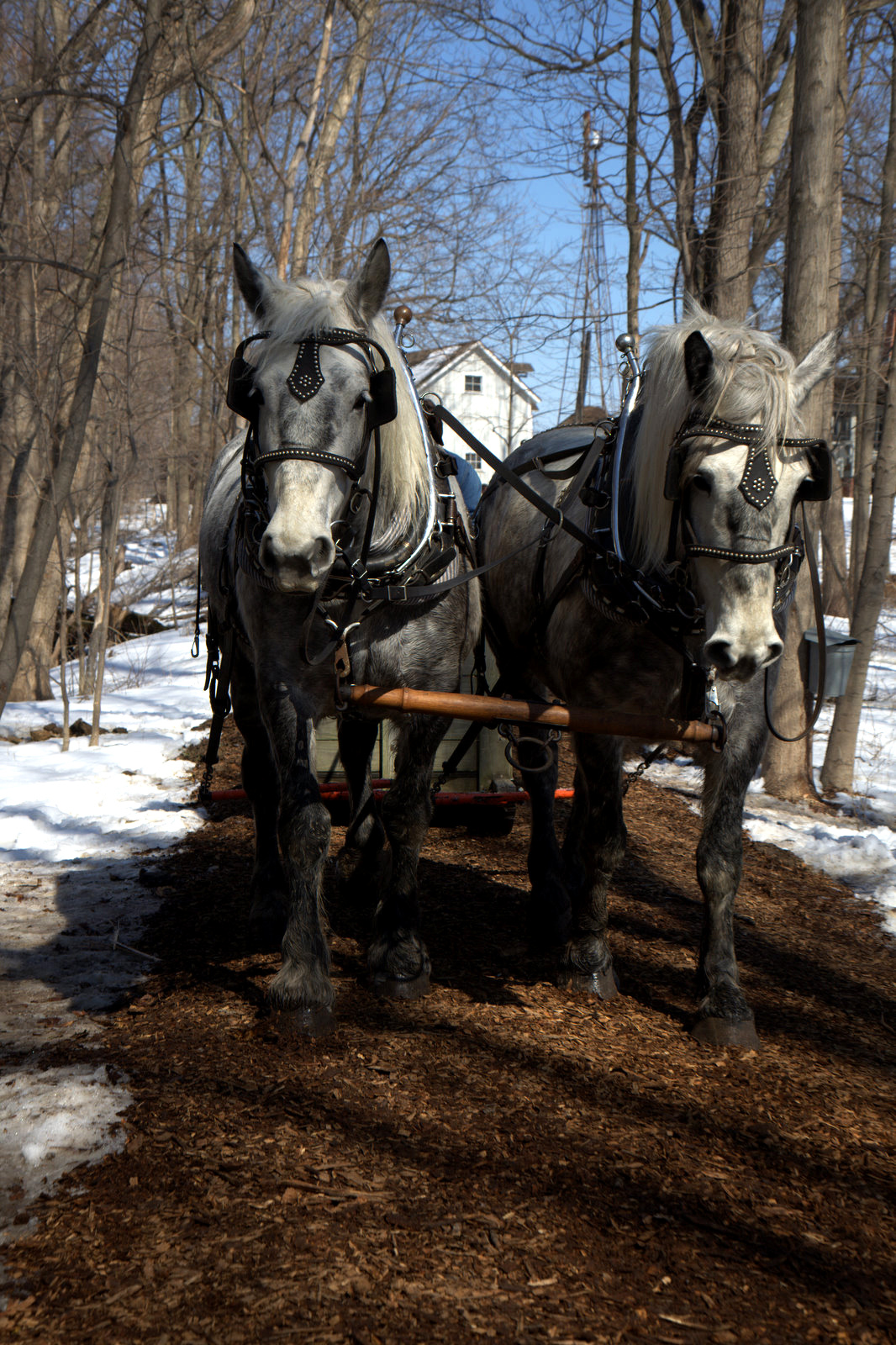 par Indiana Dunes National Lakeshore sur Flickr