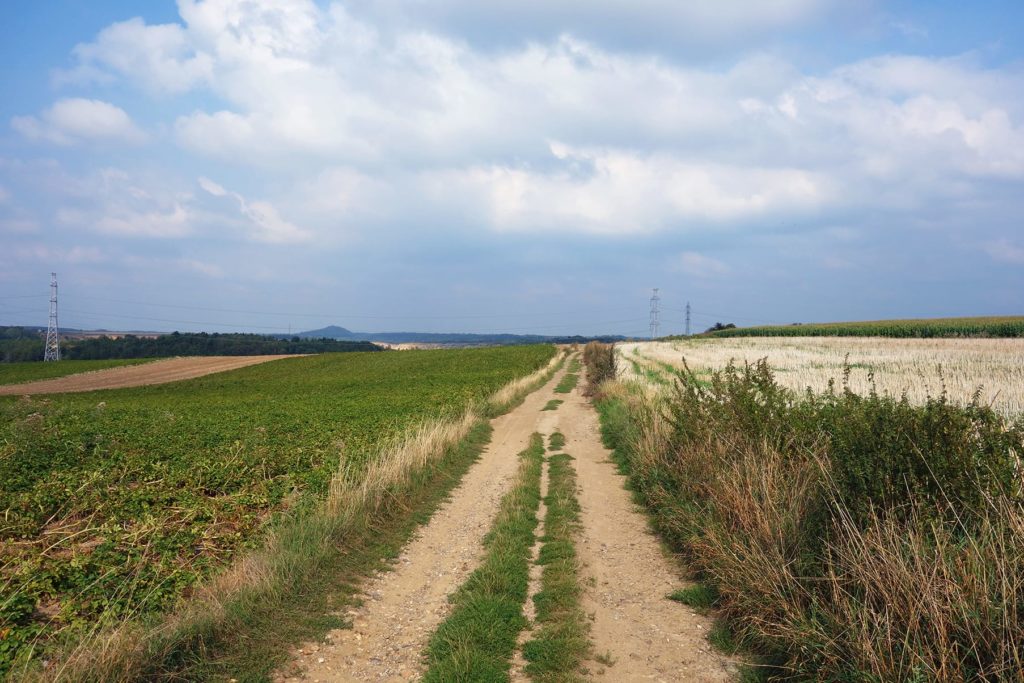 Au milieu des champs